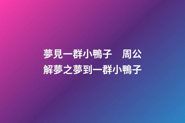 夢見一群小鴨子　周公解夢之夢到一群小鴨子